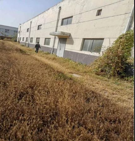 4.8（2）德州海利安生物科技股份有限公司土地一宗、厂房一宗及附属物、构筑物一宗即将拍卖