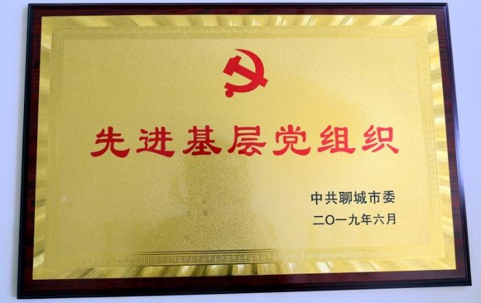 先进基层党组织